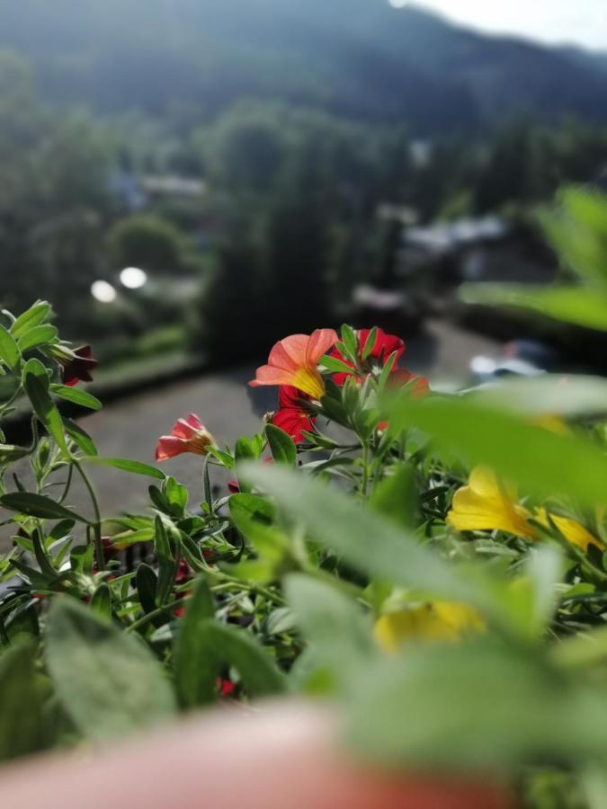 Casa Verde Воронец Экстерьер фото